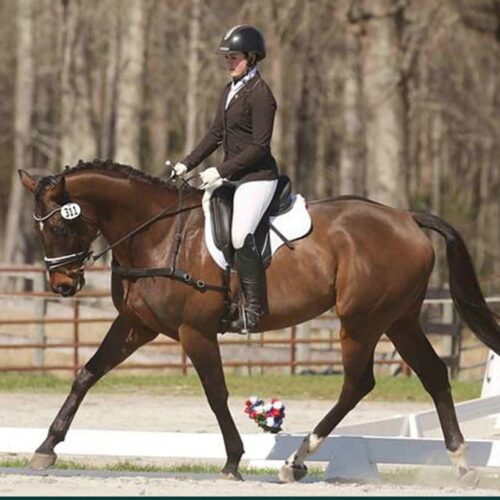 Champion Equestrian Wear-min